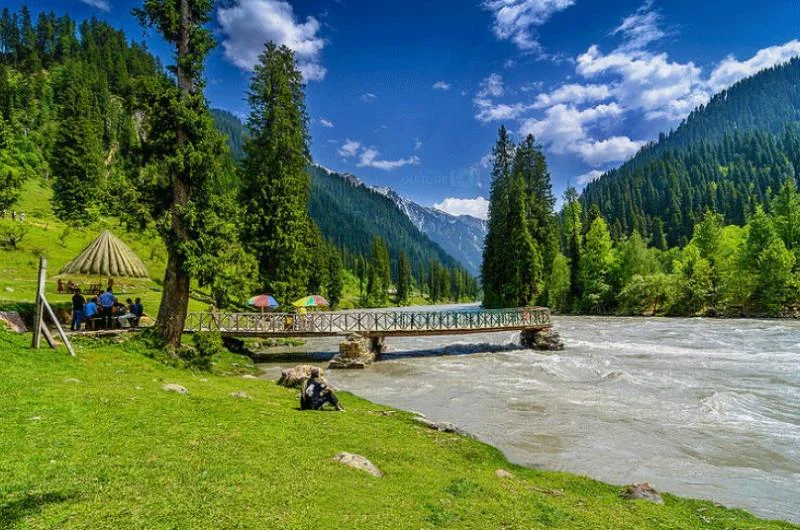 Galiyat-Valley hotel apartments in galiyat